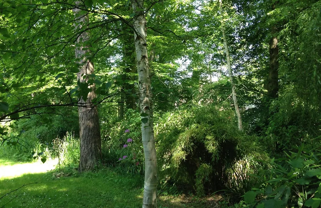 Domaine De Chantemerles-1