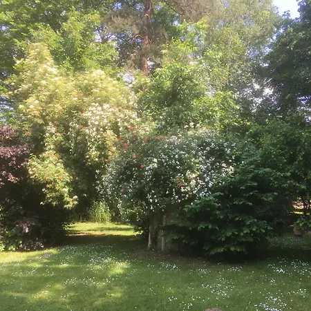 Domaine De Chantemerles-3